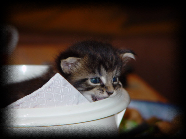 Baby1