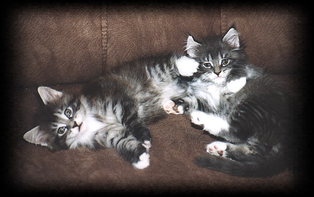 Mephisto und Maverick