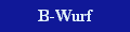 Hier gehts zum B-Wurf